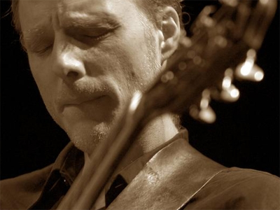 Brad Shepik Trio image