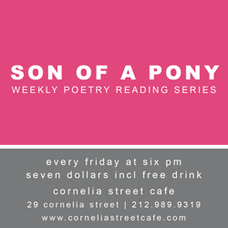 Son of Pony image