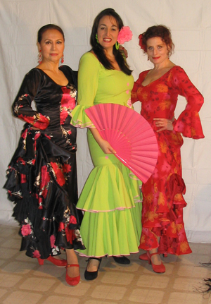 Flamenco image