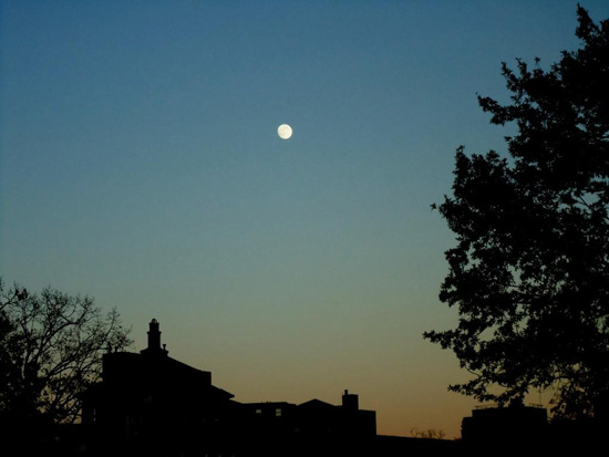City Stories: Stoops To Nuts image