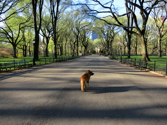City Stories: Stoops To Nuts image