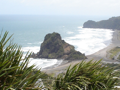 NZ WAITANGI DAY CELEBRATION image