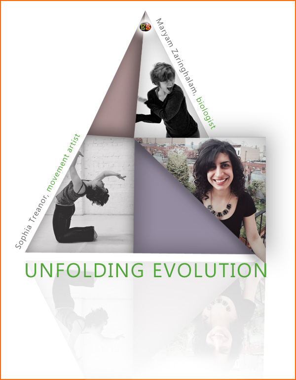 Entertaining Science: Unfolding Evolution image